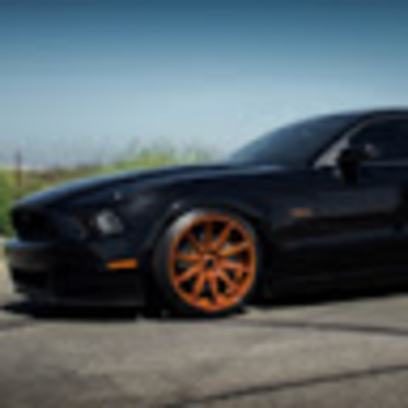 Meet your Posher, Ruben - Picture 1 of 1